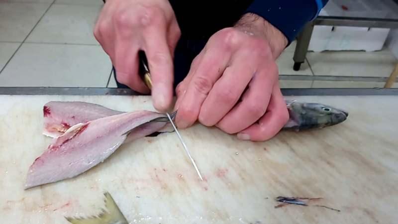 Lüfer balığı fileto nasıl yapılır