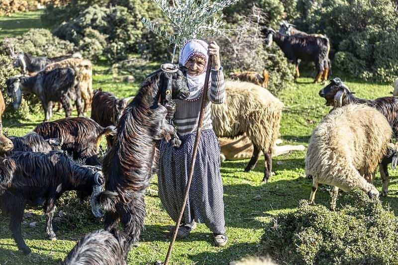 Fatma Tazı çobanlık yapıyor