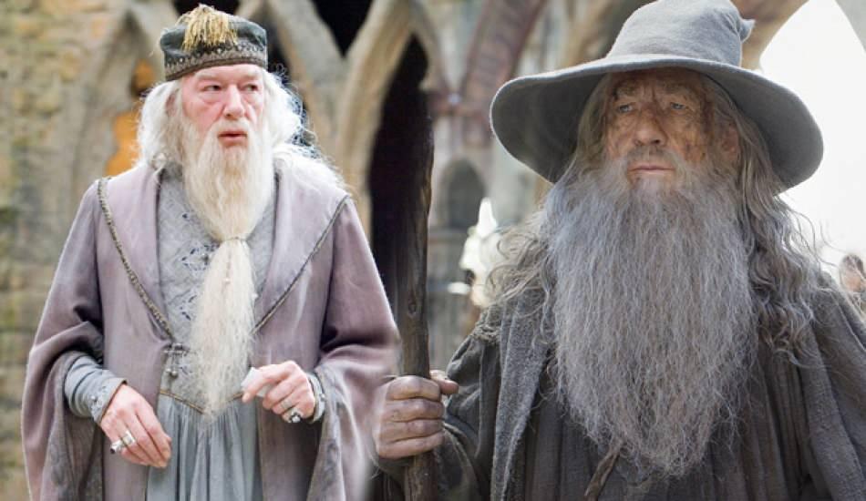 yuzuklerin_efendisindeki_gandalf_ile_harry_potterdeki_albus_dumbledore_ayni_kisi_mi_1608545356_4137.jpg