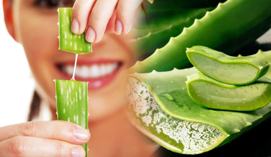 cnedir_ve_aloe_vera_cilde_faydalari_nelerdir_aloe_vera_cilde_nasil_surulur_1609765261_6158.jpg