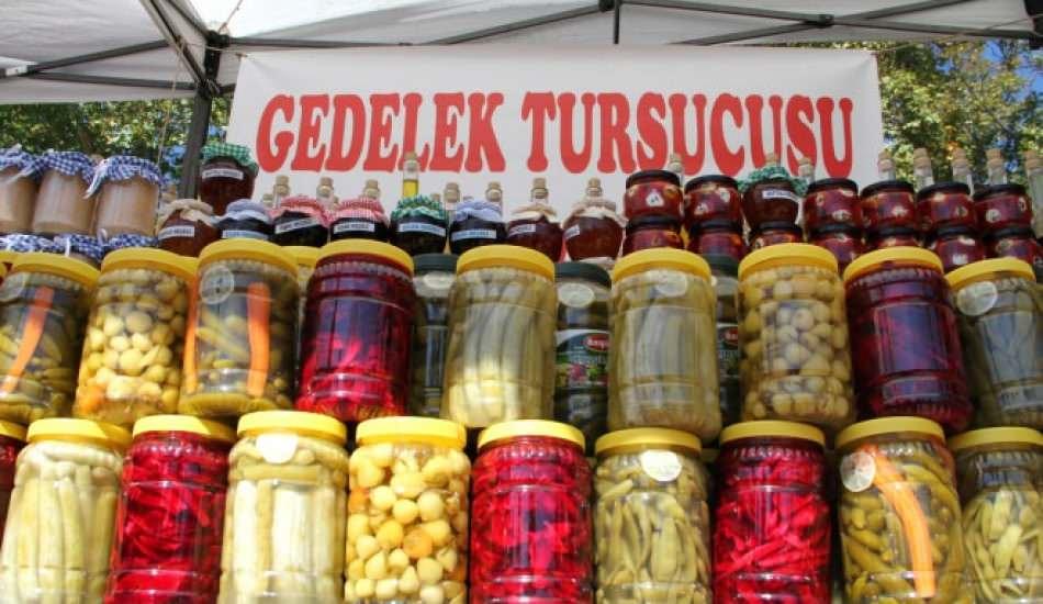 gedelek_tursusu_nedir_ve_gedelek_tursusu_nasil_yapilir_gedelek_tursusunun_farki_1614239103_8027.jpg