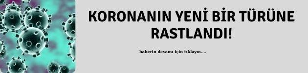 5qVIO_1617264005_2582.jpg