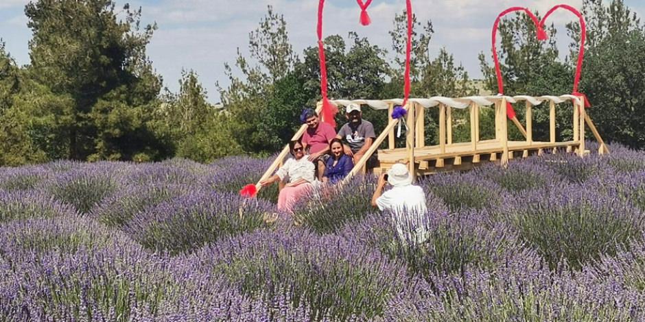 35_donumluk_lavanta_tarlasini_turizme_kazandirdi_1625206771_5784 35 dönümlük lavanta tarlasını turizme kazandırdı