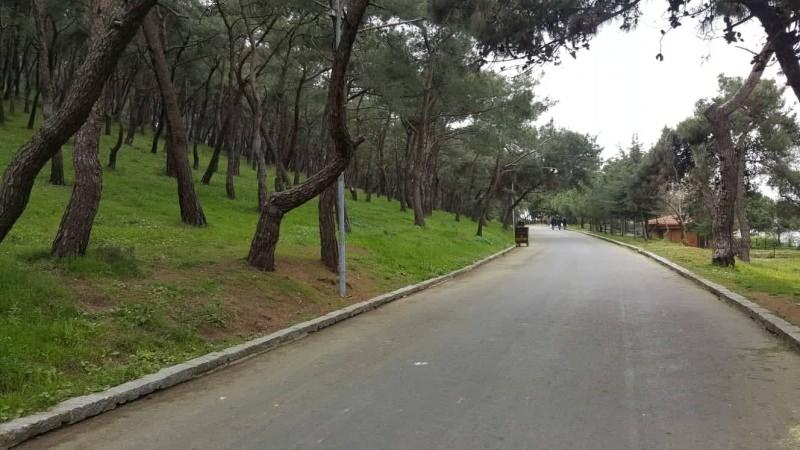 İstanbul’un en güzel Tabiat Parklarından Büyükada Tabiat Parkı