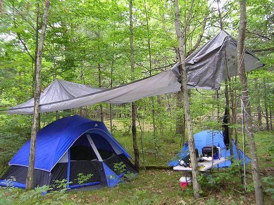 Ormanda çadır kurmak