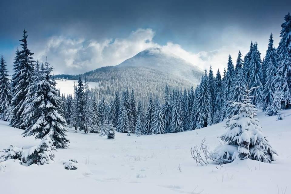 Küre Dağları Milli Parkı kış manzarası