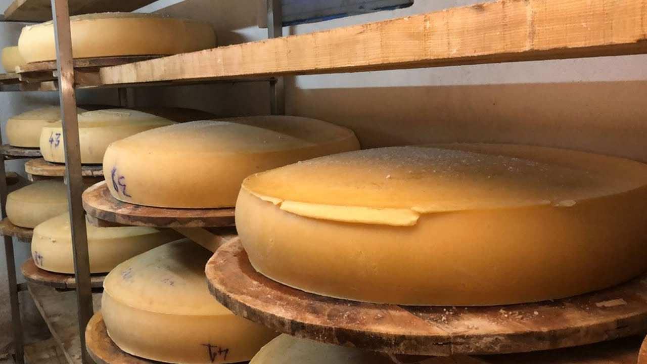 Kars peyniri