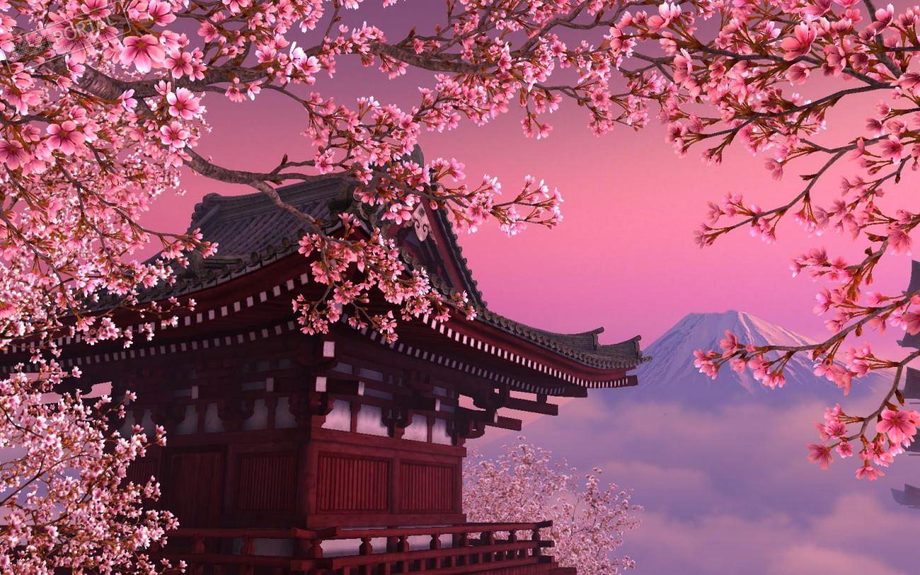 Japonya Sakura zamanı