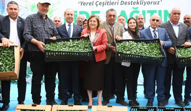 Gaziantep Büyükşehir'den çiftçiye 2 milyon fide desteği 