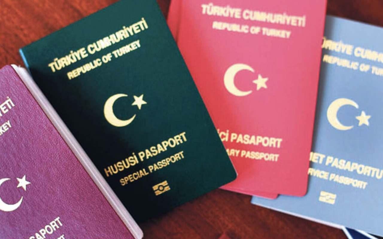 Pasaport çeşitleri