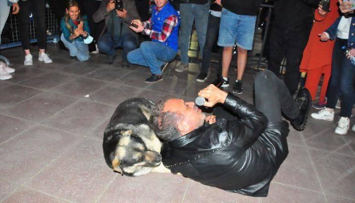 haluk levent konserde sokak köpeğine sarıldı