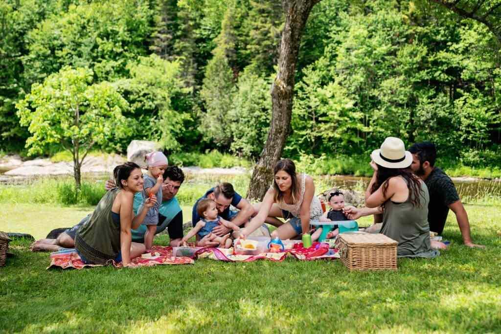 Aileyle piknik yapmak 