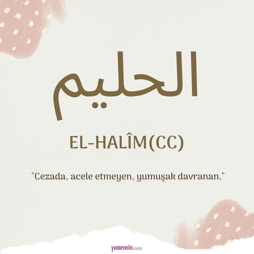 El-Halim (c.c)
