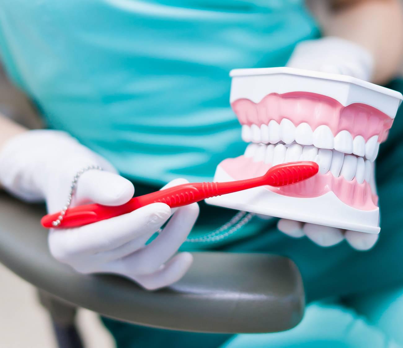 diş temizliği eğitimi