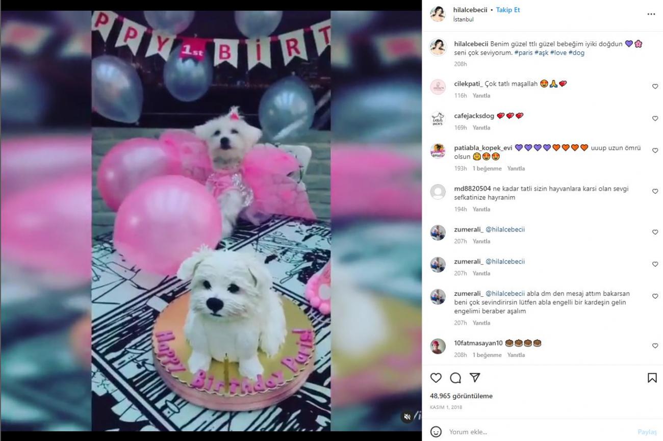 Hilal Cebeci 2018 köpeğinin doğum günü kutlaması