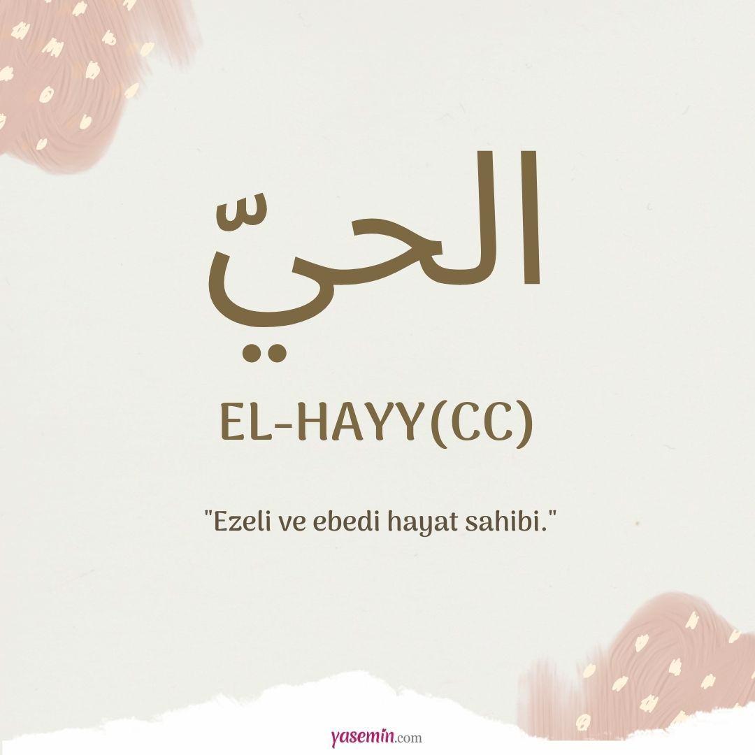 El-Hayy (c.c) ne demek?