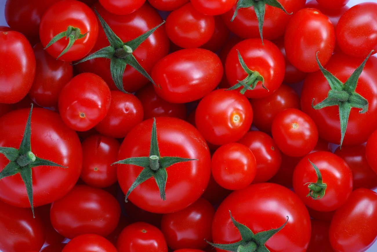 Menemenlik domates nasıl seçilir