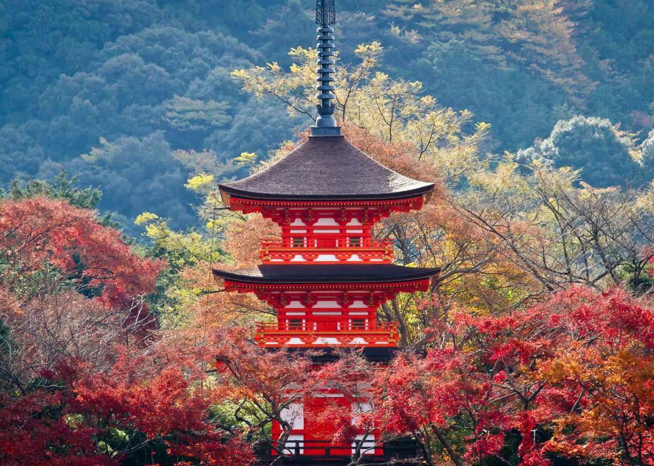 Kyoto manzarası