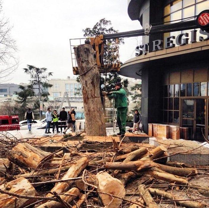 Daha önce otel için ağaç katliamı yapmışlardı