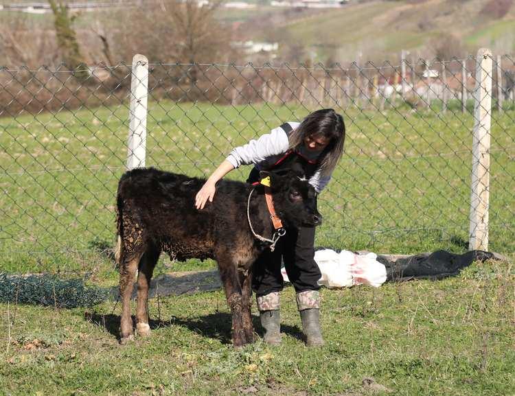 Şehir hayatını bırakıp hayallerindeki yaşamı köyde kuran genç çift