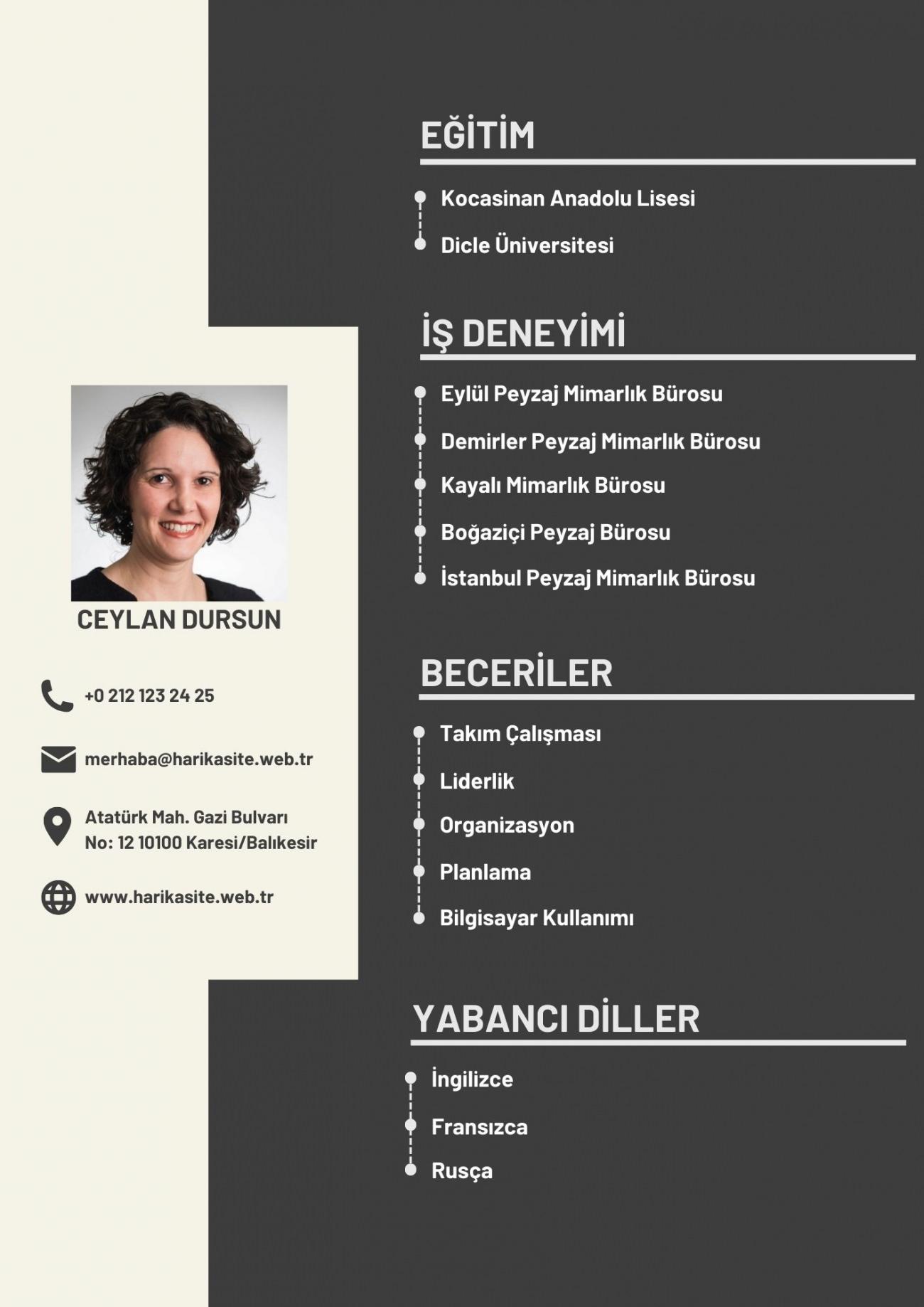 cv püf noktaları