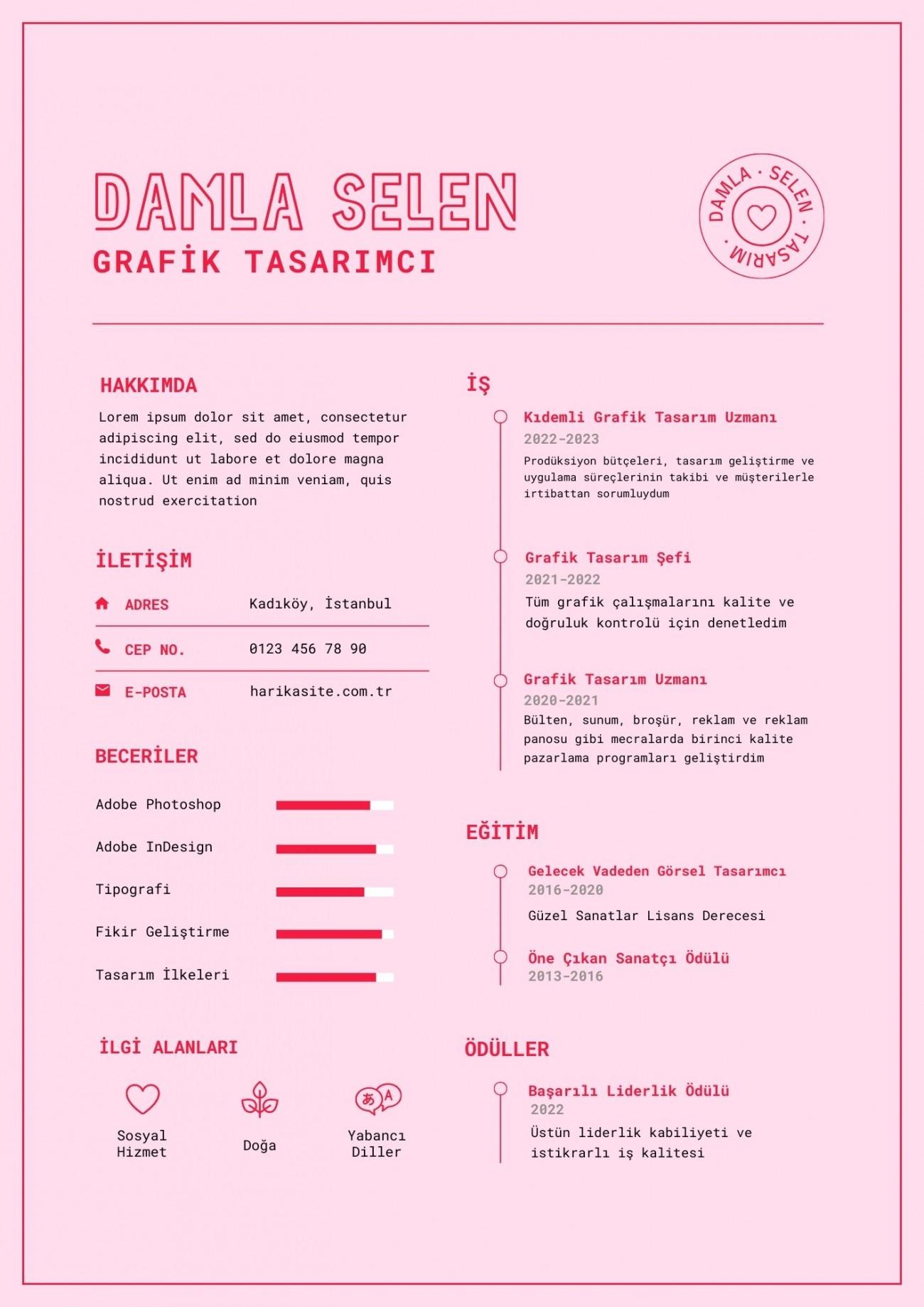 cv örneği