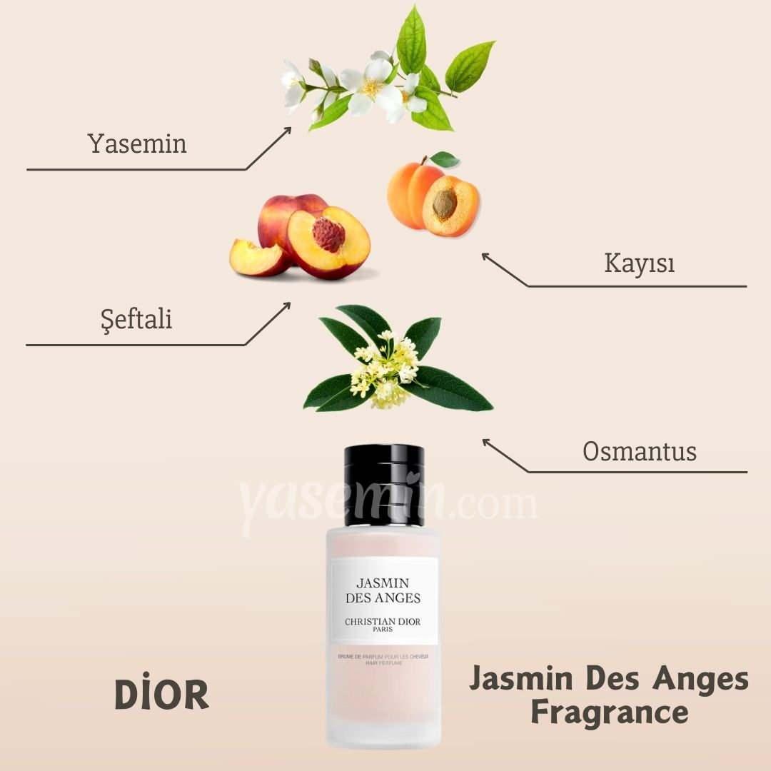 DIOR JASMIN DES ANGES FRAGRANCE