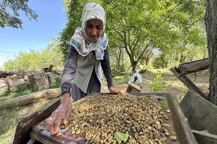 İmoş Biçki'nin İfade Ettiği Felsefe