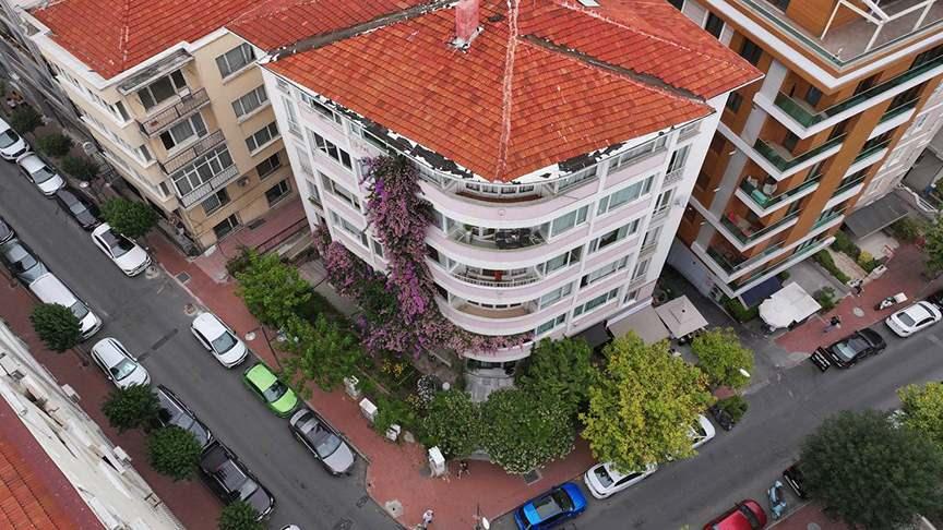 İyilik tohumundan görsel şölene: Şişli'de begonvillerle çevrili apartman hayran bıraktı