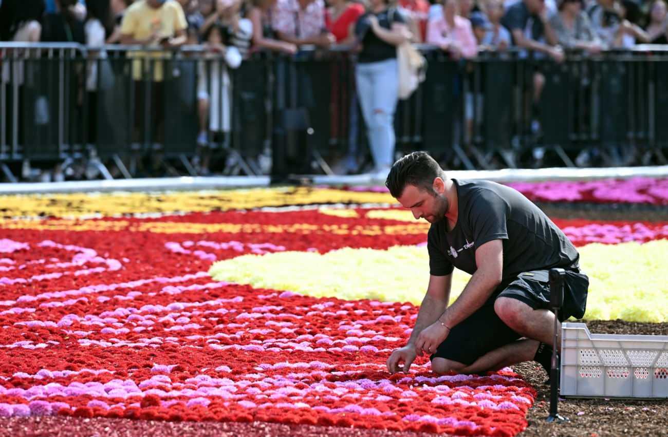 Devasa halı görenleri hayrete düşürüyor: 650 bin çiçek kullanıldı