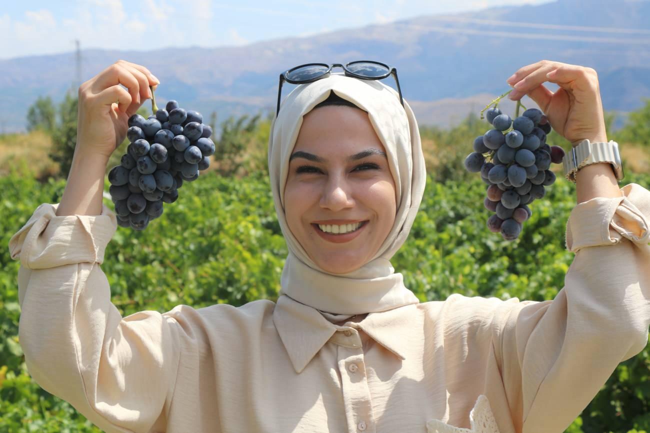 Cimin Üzümü: Erzincan'ın Şifa Kaynağı