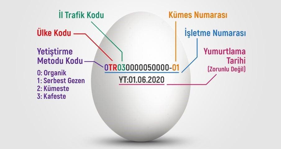 Yumurta numaraları