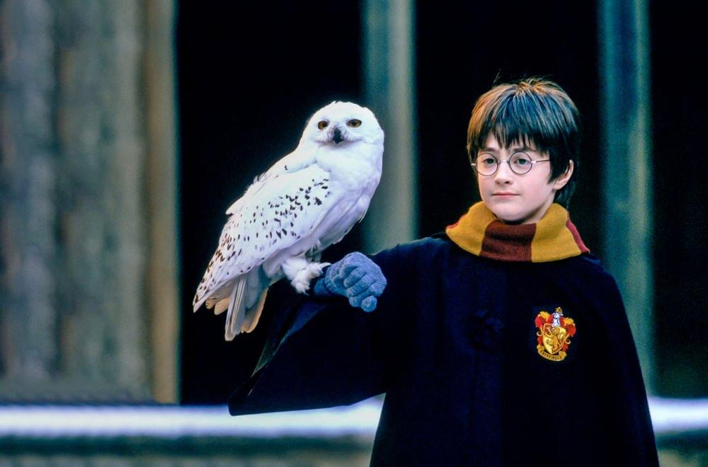 Harry Potter dizisi