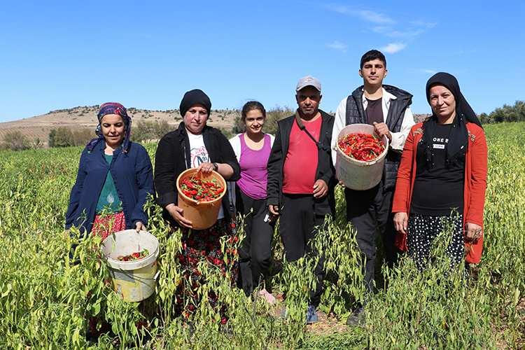 Kilis Musabeyli Dorucak Köyü Muhtarı Elif Demir