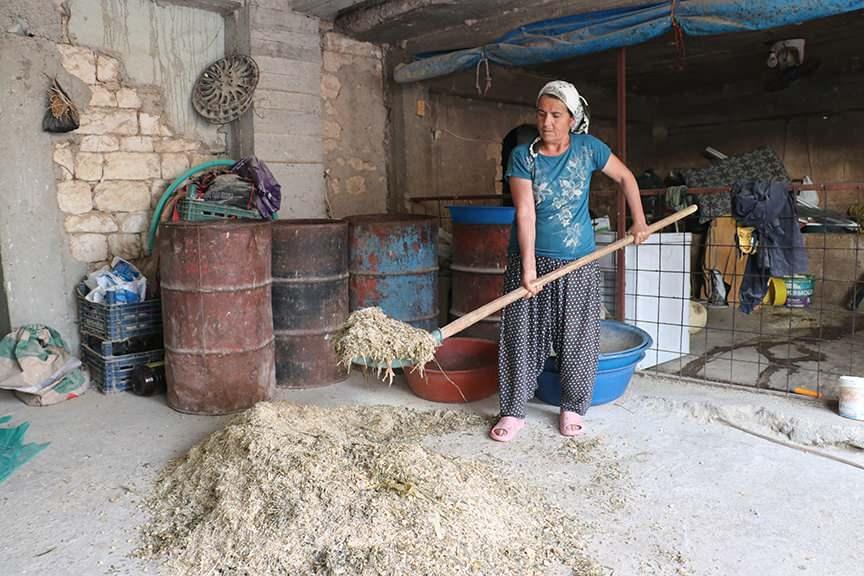 Kilisin kadın çiftçileri kırsal kalkınmaya destek oluyor