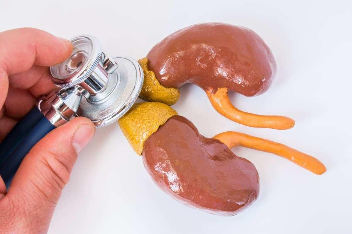 TikTok yıldızı Taylor Rousseau Grigg bu hastalık yüzünden vefat etti! Addison hastalığı nedir? 10 u7dlQ 1729255961 2256