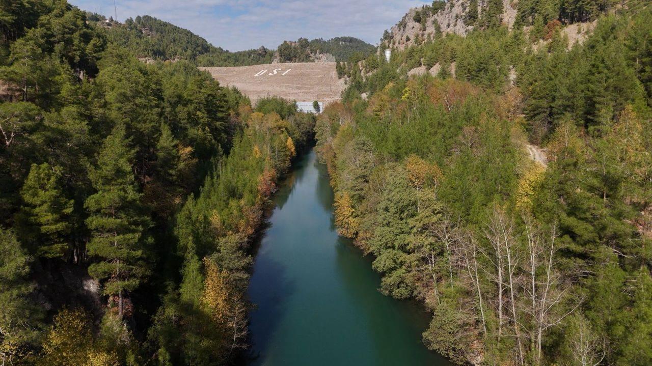 Sığla ormanı drone ile görüntülendi