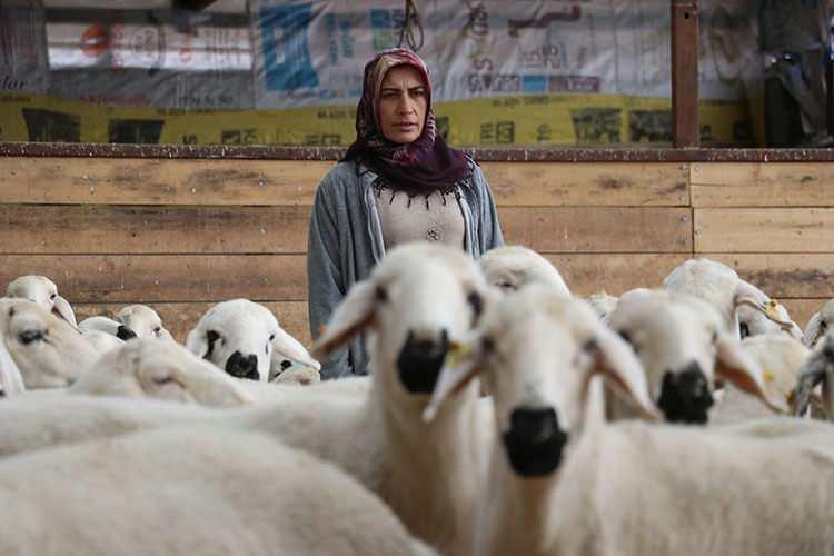 Nigar Ünal ve baktığı koyunları