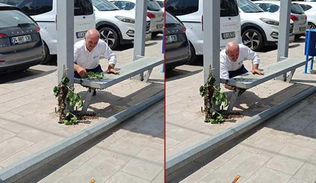 Batman'da panik anlar: Arıların toplandığı yeri görenler gözlerine inanamadı!