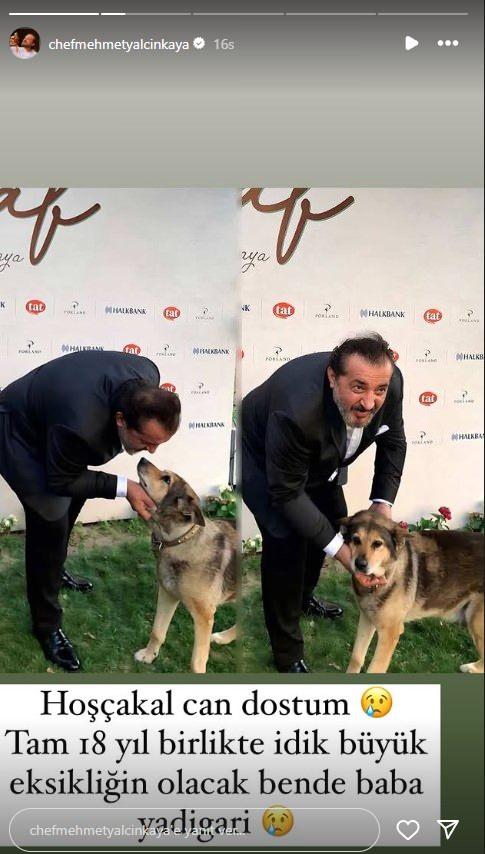 Mehmet Yalçınkaya