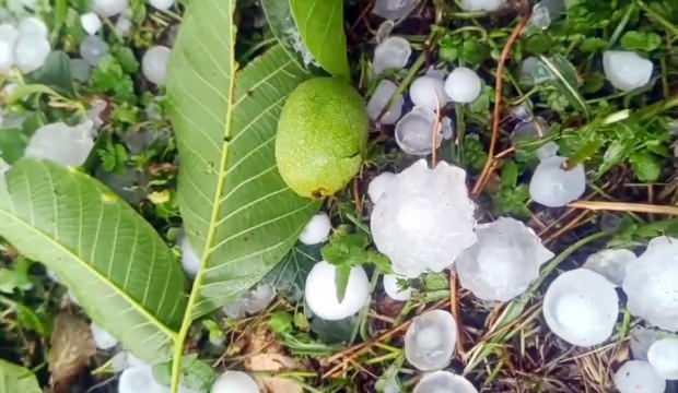 Mersin'de şiddetli dolu yağışı etkili oldu! Bahçeler hasar gördü