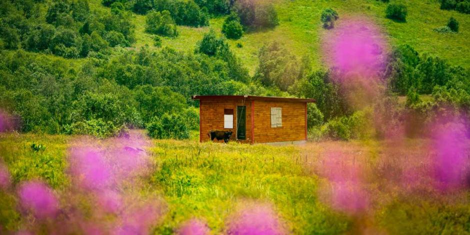 Karadeniz’in güzelliklerinin sonu yok: Burası da Cimil Vadisi