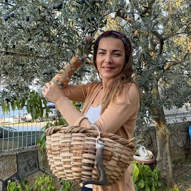 Burcu Kara, zeytin toplarken
