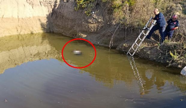 Antalya'da sır olay: Su dolu çukurdan kadın cesedi çıktı!