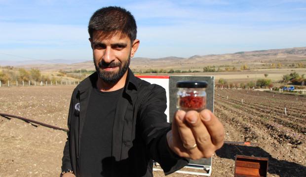 Dünyanın en pahalı baharatı! "Kırmızı altının" 1 gramı 500 TL'den satılıyor