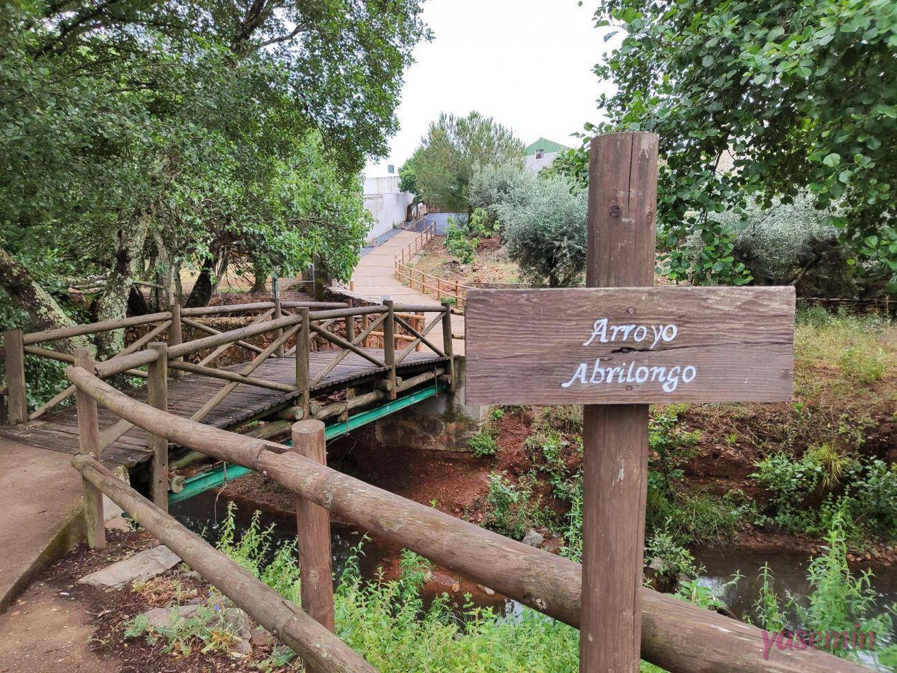 Köprünün görseli