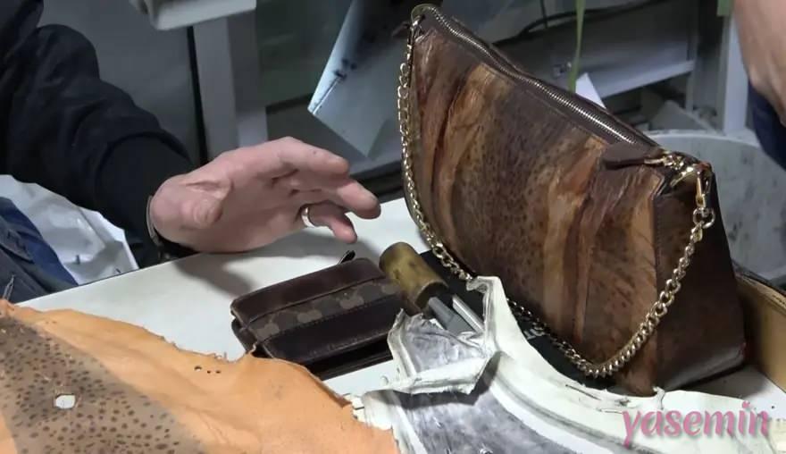 Balon balığı derisinden yapılmış bir çanta