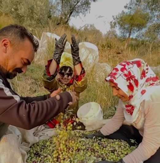 Mehtap Bayri zeytin toplarken