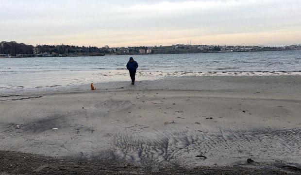 Tekirdağ'da denizdeki hareketlilik b&ouml;lge halkını tedirgin etti