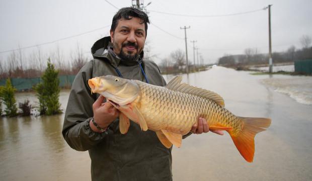 7 kiloluk balık ayaklarına geldi! Edirne'de tarlada balık yakaladılar